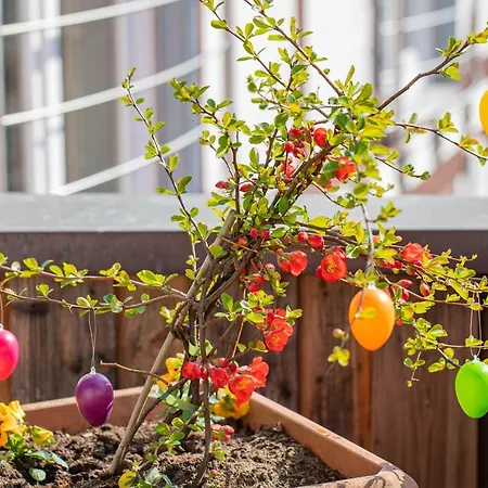 Hotel Hotel-pension *