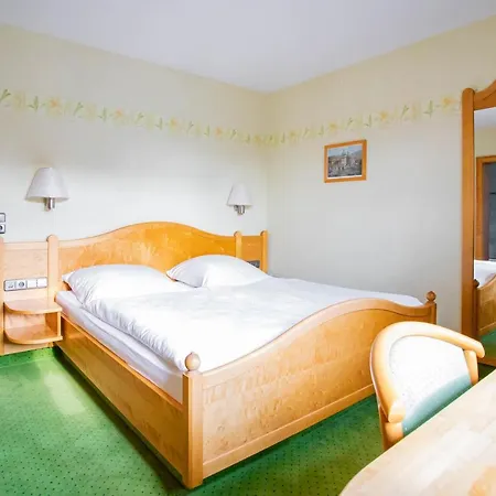 Otel Hotel-pension *