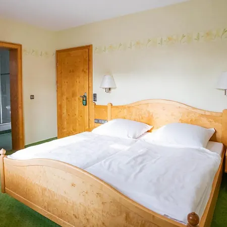 Otel Hotel-pension *