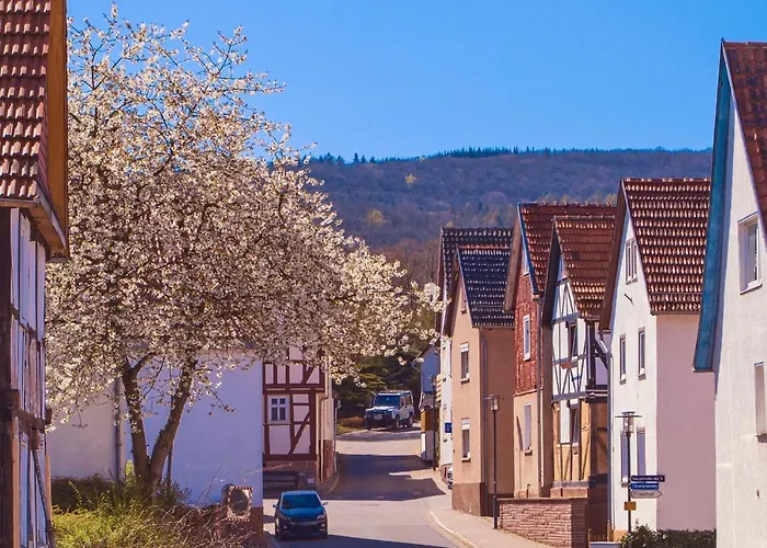 Hotel-pension * אשווגה