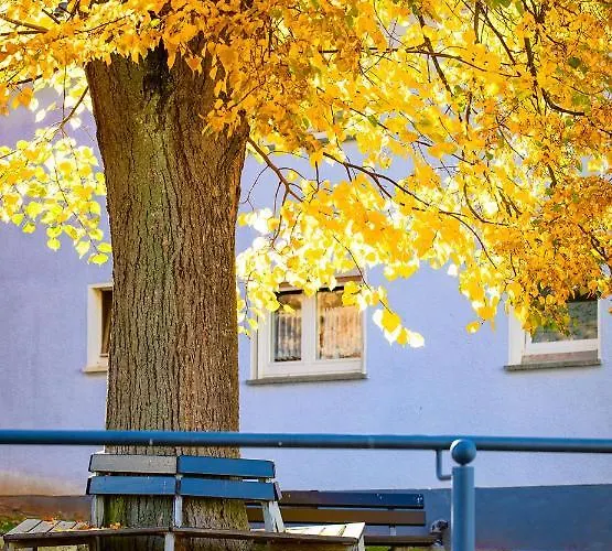 מלון Hotel-pension