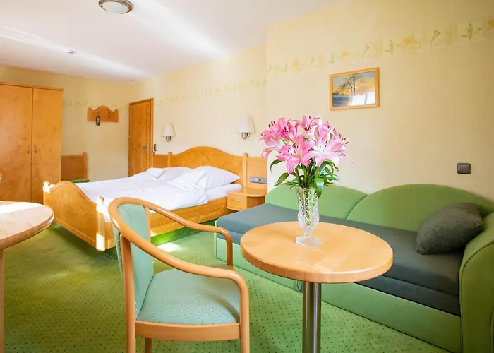 Hotel-pension מלון